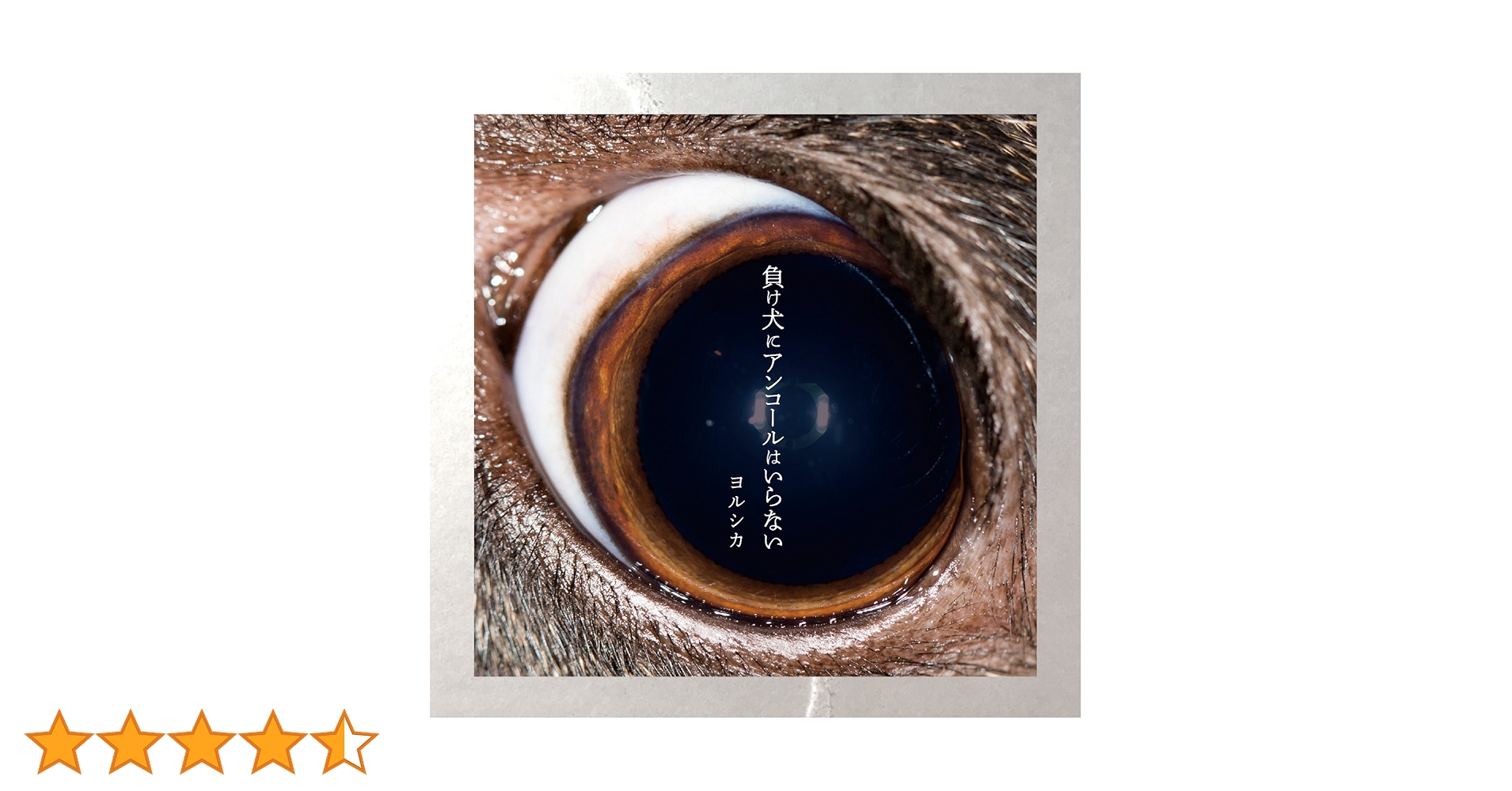 Amazon.co.jp: 負け犬にアンコールはいらない(通常版): ミュージック